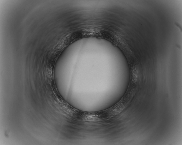 X0000101220657200807111058