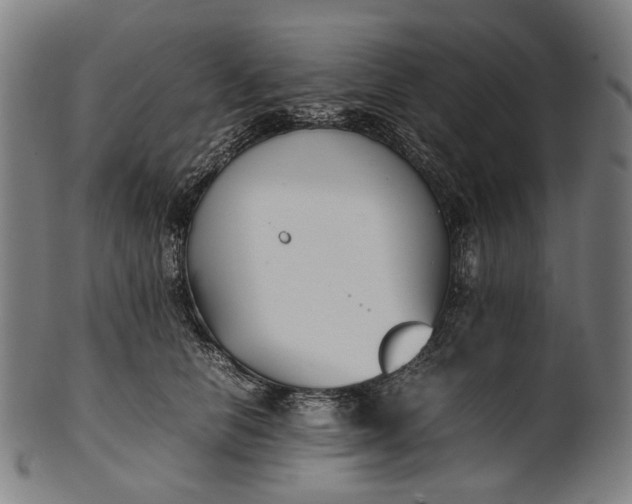 X0000101220658200807111058