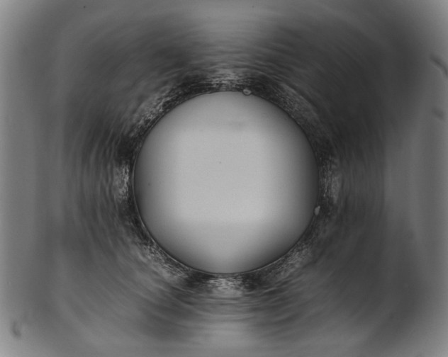 X0000101220660200807111058