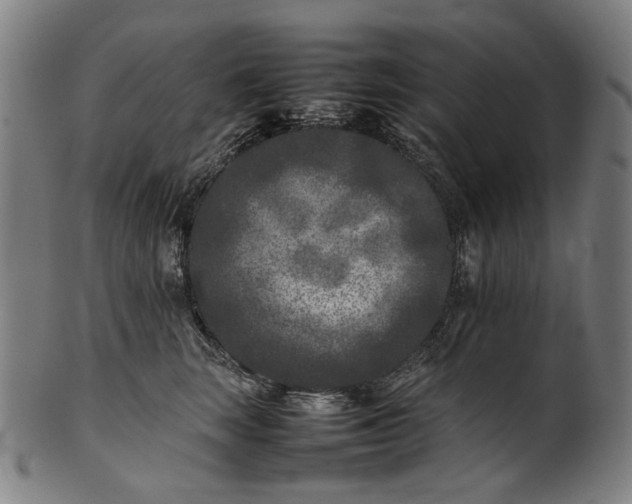 X0000101220663200807111058