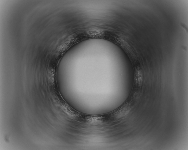 X0000101220664200807111058
