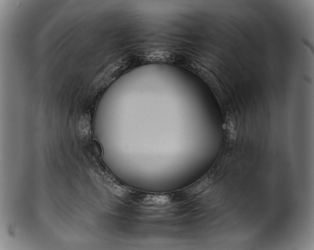 X0000101220665200807111058