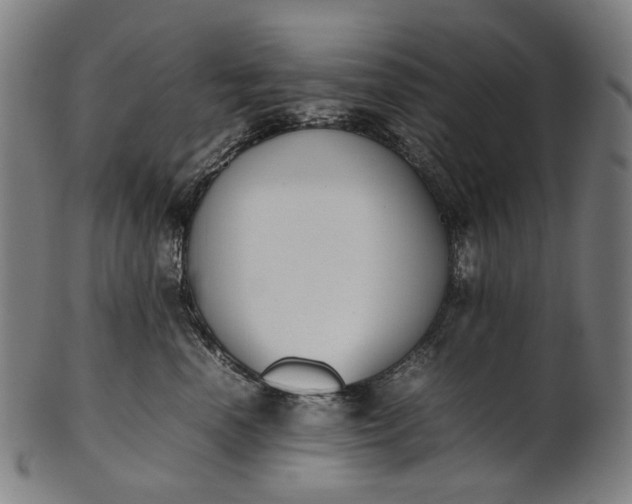 X0000101220666200807111058