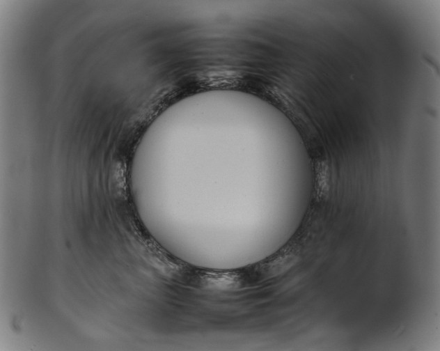 X0000101220667200807111058