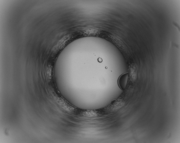 X0000101220668200807111058