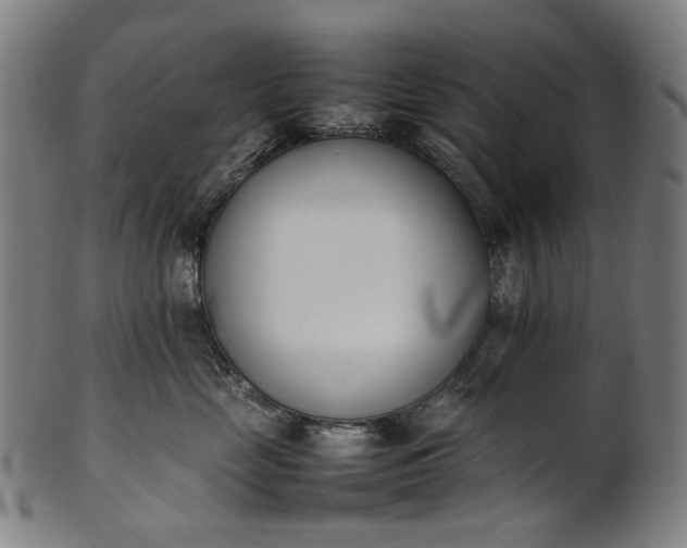 X0000101220669200807111058