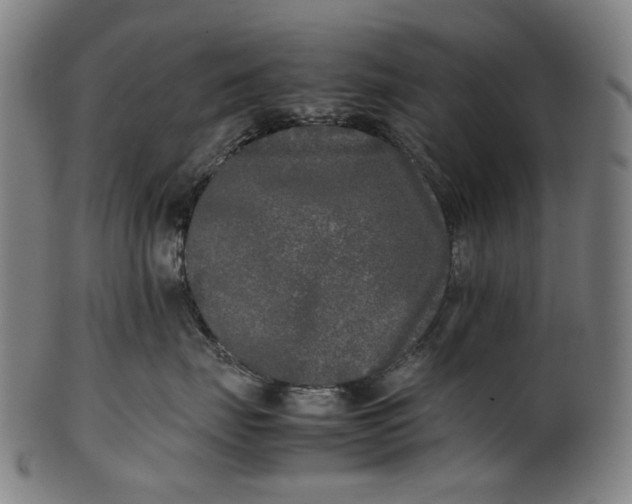 X0000101220671200807111058