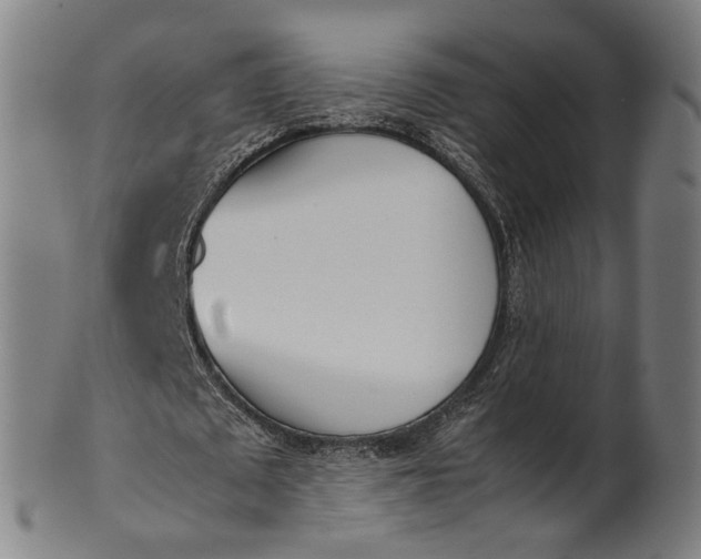 X0000101220673200807111057