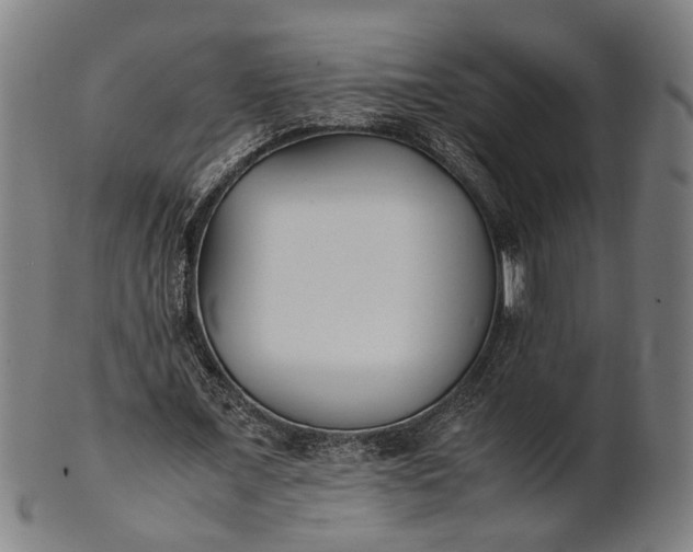 X0000101220675200807111057
