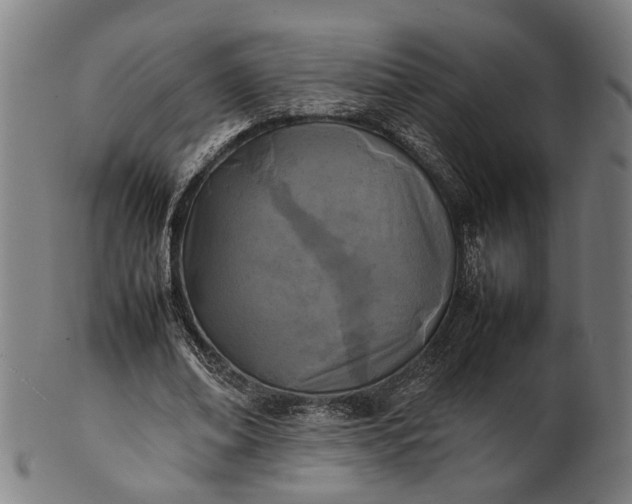 X0000101220678200807111057