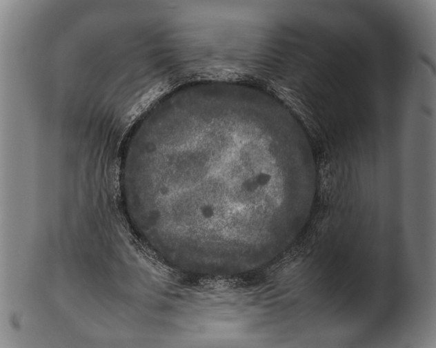X0000101220679200807111057