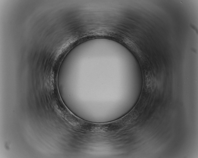 X0000101220680200807111057