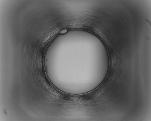 X0000101220681200807111057