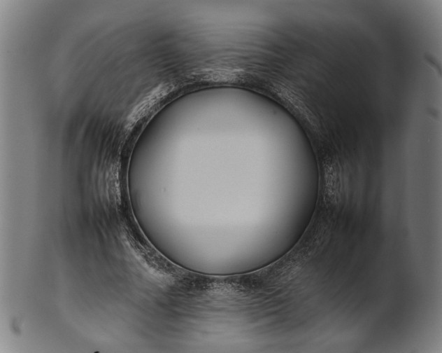 X0000101220682200807111057