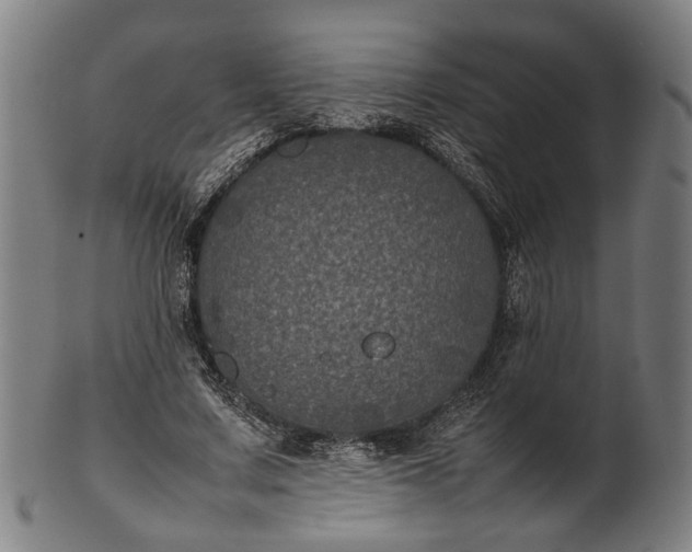 X0000101220683200807111057