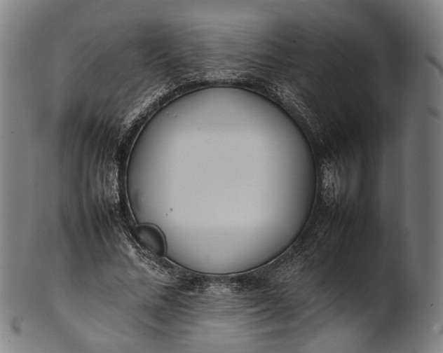 X0000101220684200807111057