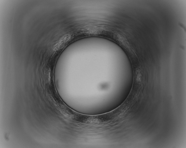 X0000101220685200807111057