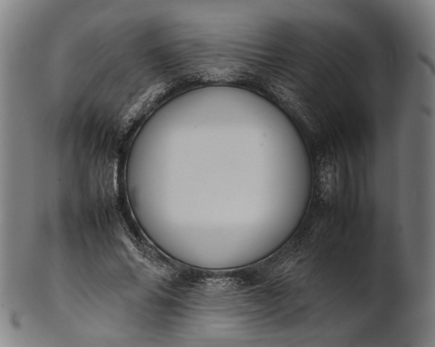 X0000101220686200807111057