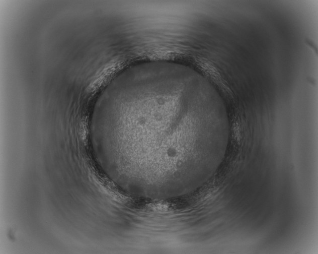 X0000101220687200807111057