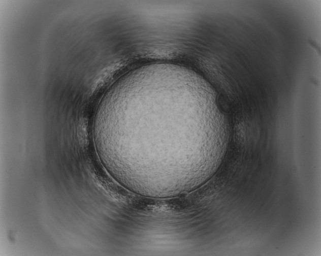 X0000101220688200807111057