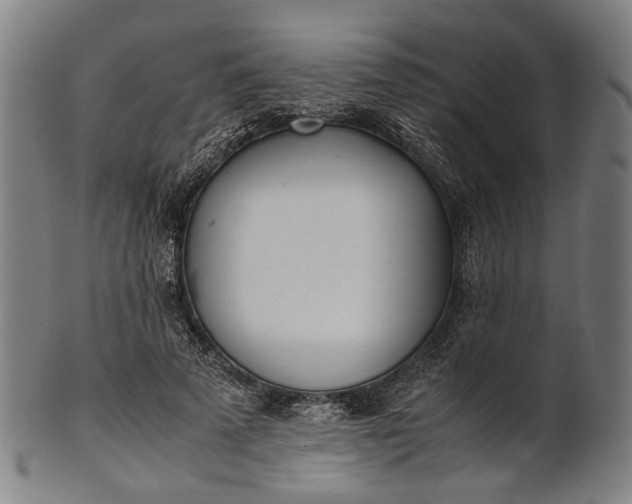 X0000101220689200807111057