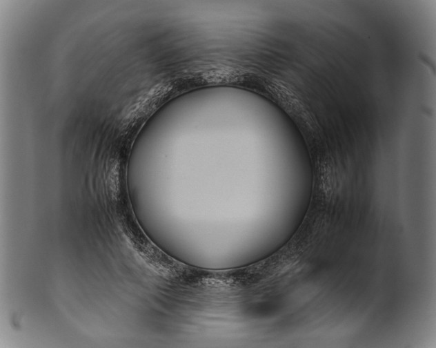 X0000101220690200807111057