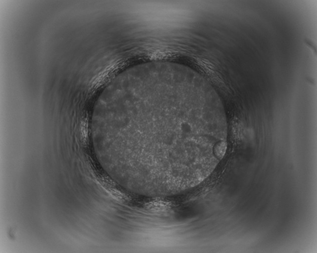 X0000101220691200807111057