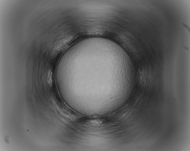 X0000101220692200807111057