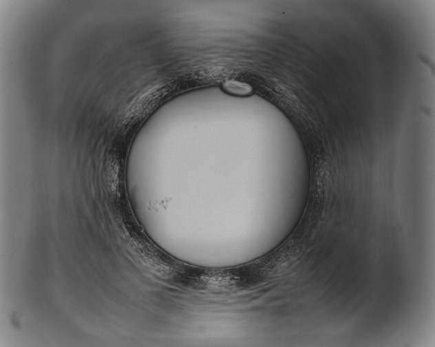 X0000101220693200807111057