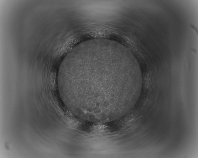 X0000101220695200807111057