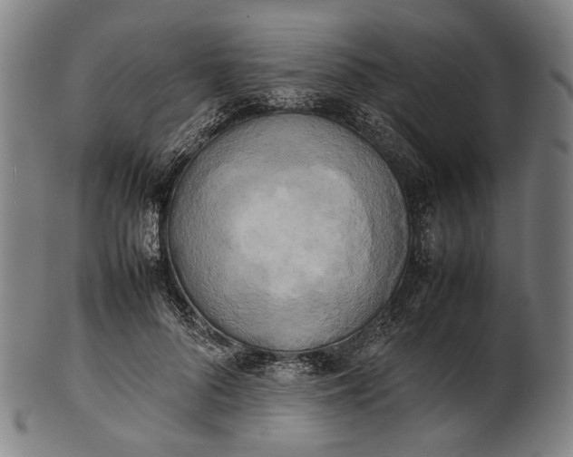X0000101220696200807111057