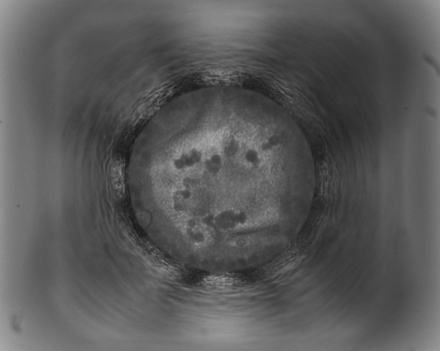 X0000101220699200807111057