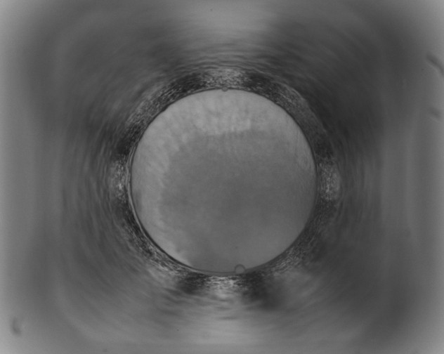 X0000101220701200807111057