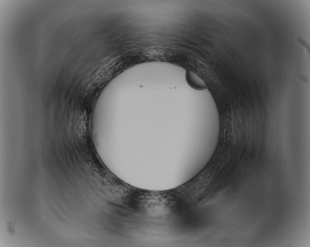 X0000101220702200807111057