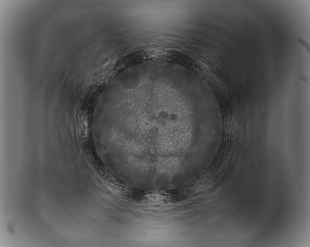 X0000101220703200807111057
