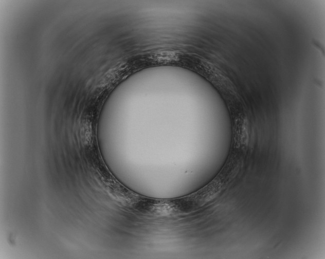 X0000101220704200807111057