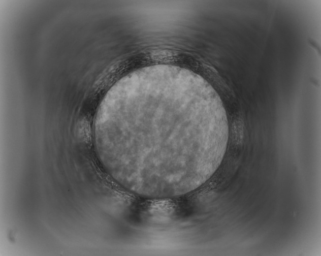 X0000101220705200807111057