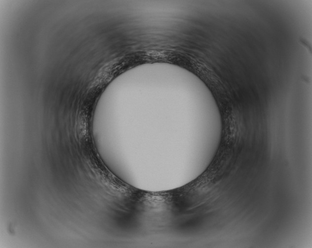 X0000101220706200807111057