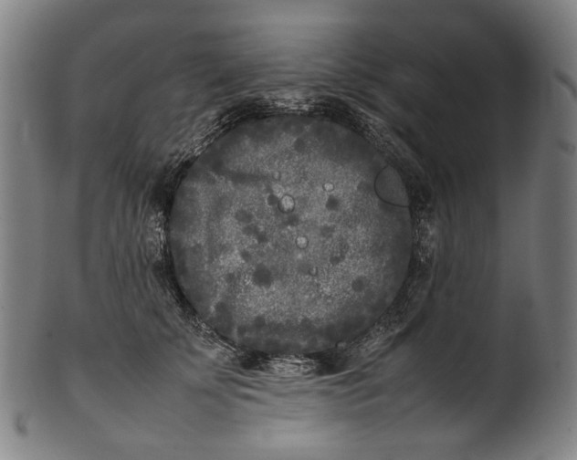 X0000101220707200807111057