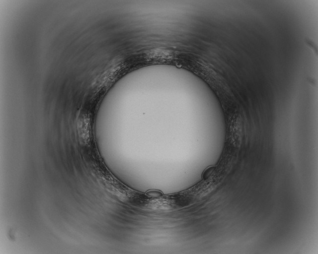 X0000101220708200807111057