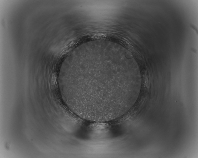 X0000101220711200807111057