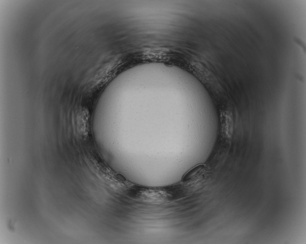 X0000101220712200807111057