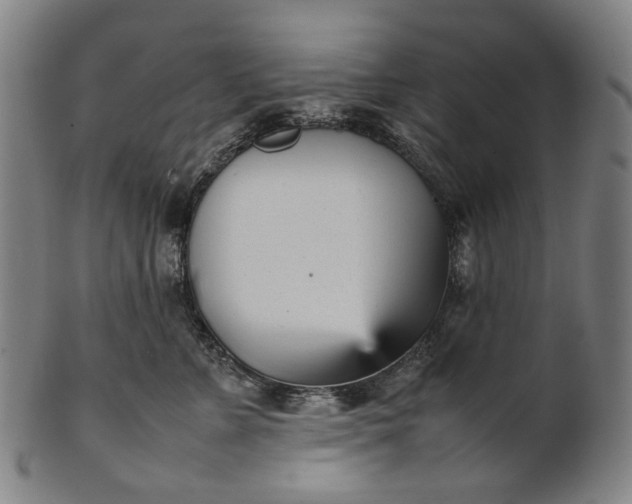X0000101220715200807111057