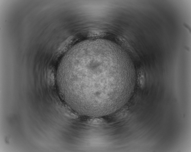 X0000101220716200807111057