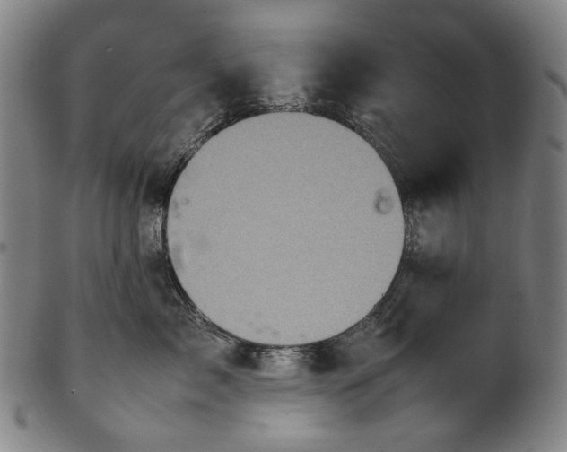 X0000101220717200807111057