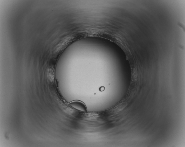 X0000101220719200807111057