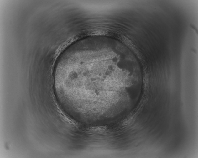 X0000101220721200807111056