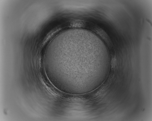 X0000101220722200807111056