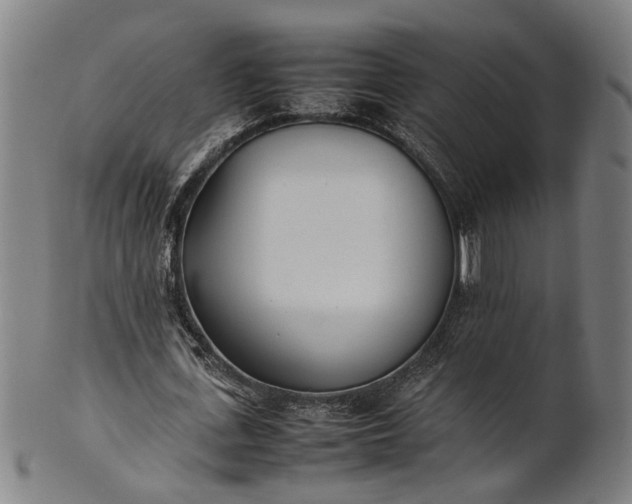 X0000101220723200807111056