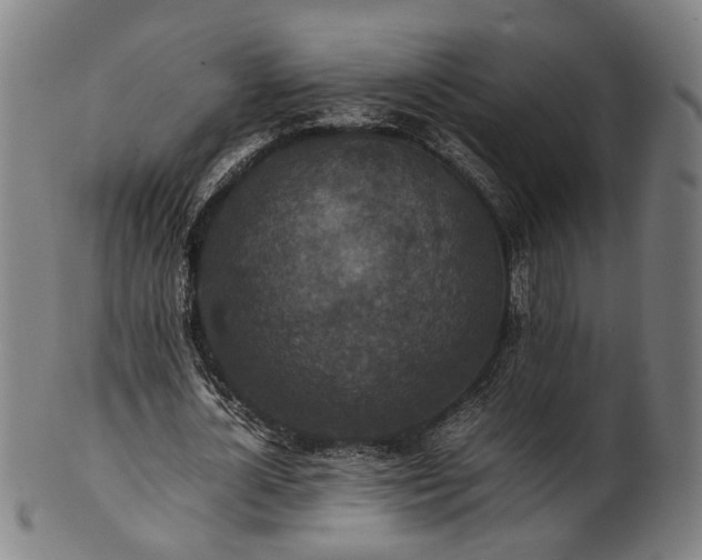 X0000101220724200807111056